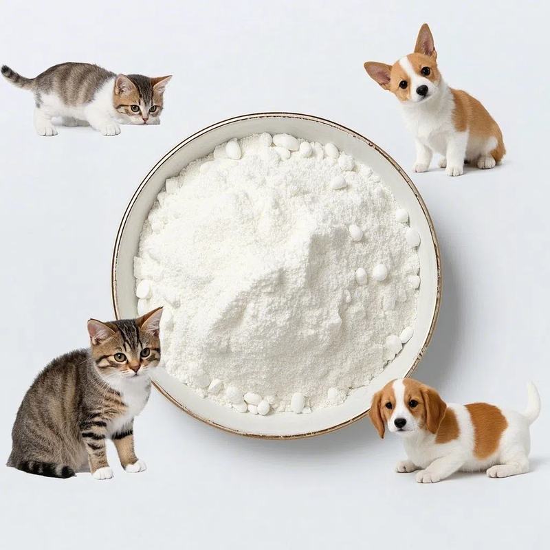 Verbeter uw producten voor huisdieren met bèta-cyclodextrine voor een verbeterde oplosbaarheid en biologische beschikbaarheid