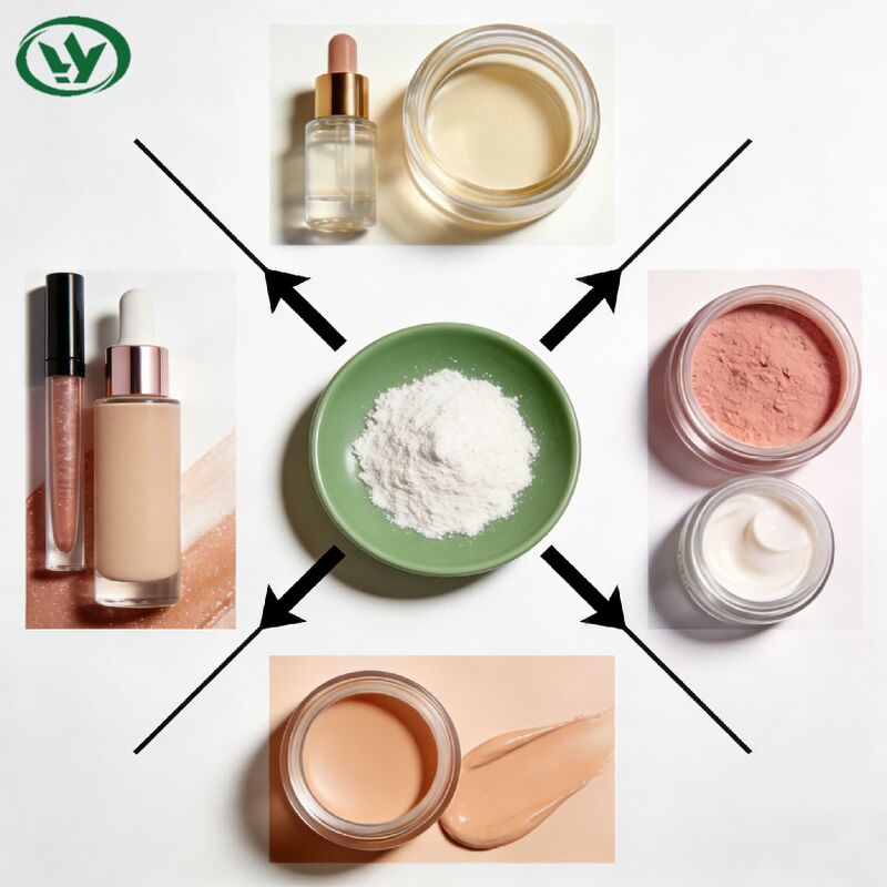 High Purity Hydroxypropyl Beta Cyclodextrin Powder for Cosmetic Formulation Skin Care Active Ingredient