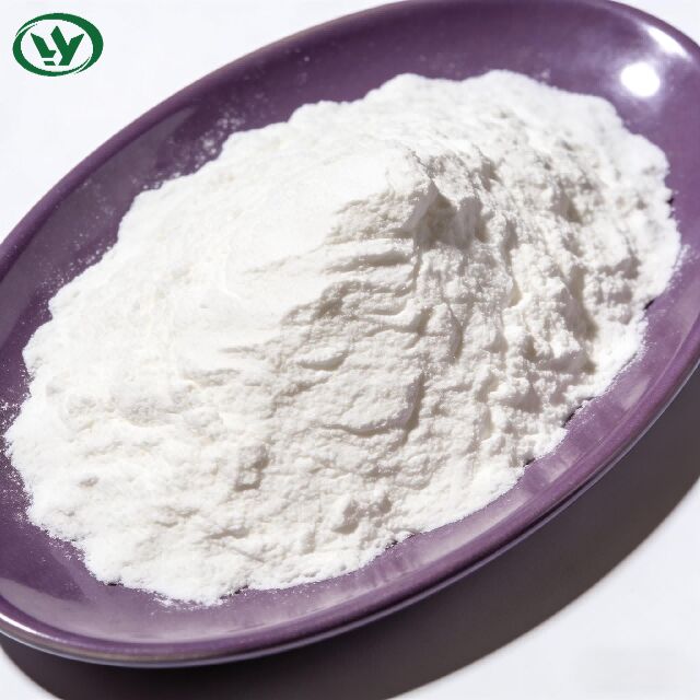 Poudre blanche de cyclodextrine gamma pour boissons sportives et produits de santé - Encapsulation supérieure de nutriments sensibles